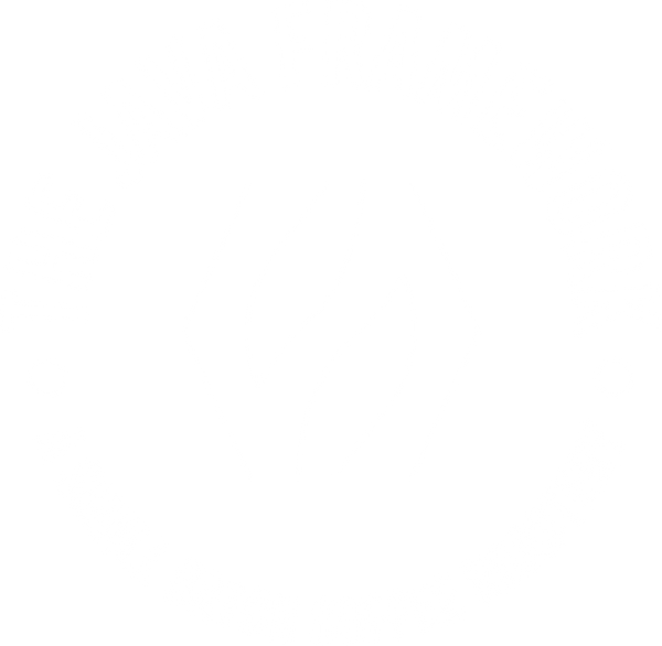 The Java Framework